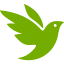 iNaturalist